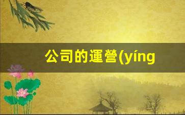 公司的運營(yíng)模式插圖