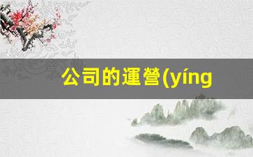 公司的運營(yíng)模式有哪些插圖