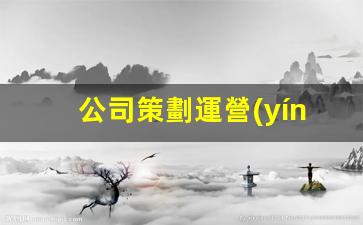 公司策劃運營(yíng)怎么做插圖