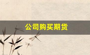 公司购买期货(公司购买期货会计分录)_https://www.nalian8.com_创业板_第1张