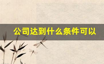 公司达到什么条件可以上市(上市和不上市的区别)_https://www.syklpowerbike.com_上交所_第1张