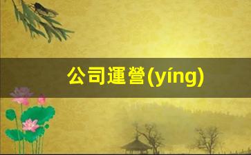 公司運營(yíng)團隊架構插圖