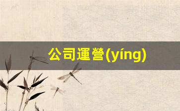 公司運營(yíng)模式包括哪些插圖