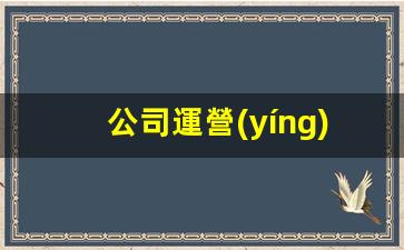 公司運營(yíng)管理方案怎么寫(xiě)插圖