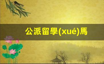 公派留學(xué)馬來西亞簽證辦理流程(馬來西亞留學(xué)公證費用)