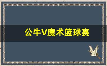 公牛V魔术篮球赛-95-96公牛队魔术