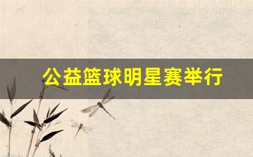 公益篮球明星赛举行-公益篮球班