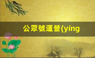 公眾號運營(yíng)工作怎么做插圖