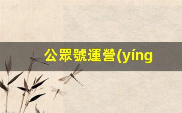 公眾號運營(yíng)方案策劃插圖