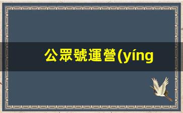 公眾號運營(yíng)難不難插圖