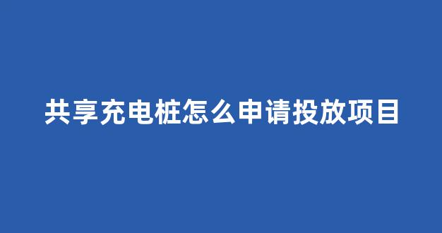 共享充电桩怎么申请投放项目(共享充电桩怎么申请投放项目)_https://www.jnskb.com_设计报价_第1张