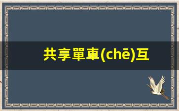 共享單車(chē)互聯(lián)網(wǎng)運營(yíng)插圖