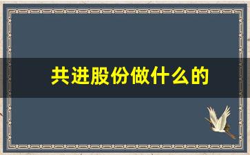 共进股份做什么的(共进股份做什么产品)_https://www.jumanxin.com_深交所_第1张