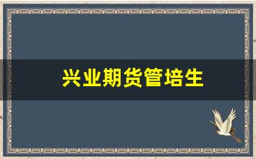 兴业期货管培生(兴业期货管培生工资待遇)_https://www.dcjwmf.com_上期能源_第1张