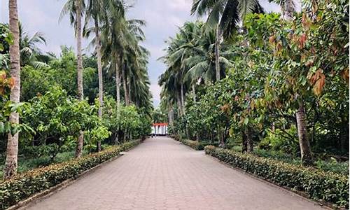 海南兴隆热带植物园_兴隆热带植物园