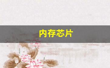 内存芯片(国产内存芯片)_https://www.hangfeite.com_创业板_第1张