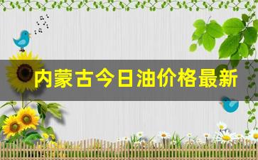 内蒙古今日油价格最新消息-内蒙古油价今日24时下调