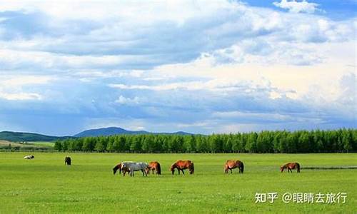 内蒙古草原旅游攻略亲子_内蒙古草原旅行攻略