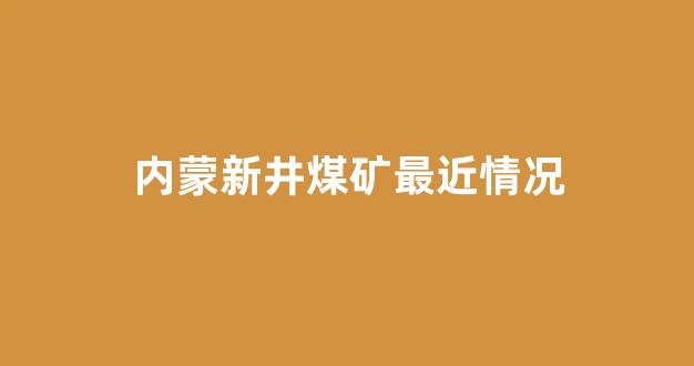 内蒙新井煤矿最近情况(内蒙新井煤矿最近情况介绍)_https://www.gfdzclz.com_深交所_第1张