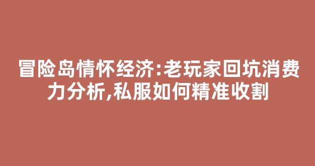 冒险岛情怀经济:老玩家回坑消费力分析,私服如何精准收割