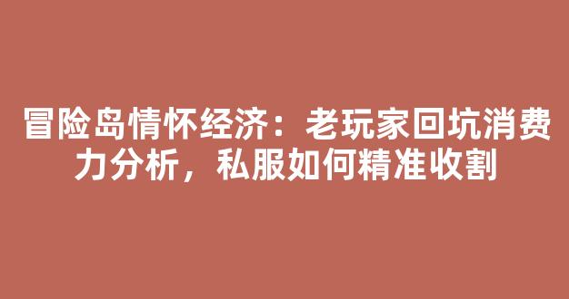冒险岛情怀经济：老玩家回坑消费力分析，私服如何精准收割