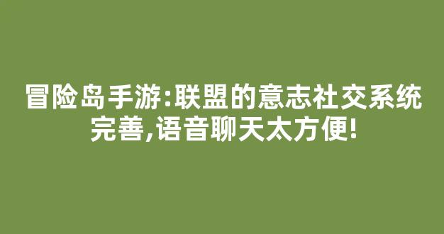 冒险岛手游:联盟的意志社交系统完善,语音聊天太方便!