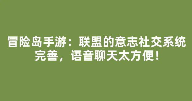 冒险岛手游：联盟的意志社交系统完善，语音聊天太方便！