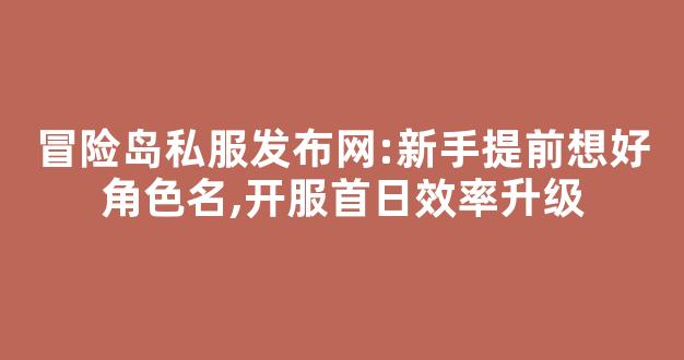 冒险岛私服发布网:新手提前想好角色名,开服首日效率升级