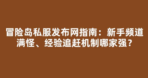 冒险岛私服发布网指南：新手频道满怪、经验追赶机制哪家强？