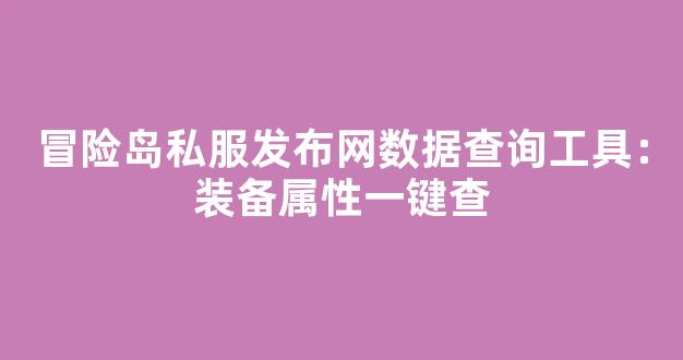 冒险岛私服发布网数据查询工具：装备属性一键查