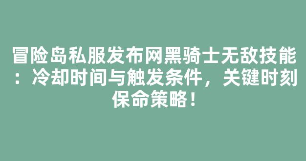 冒险岛私服发布网黑骑士无敌技能：冷却时间与触发条件，关键时刻保命策略！