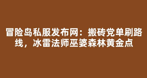 冒险岛私服发布网：搬砖党单刷路线，冰雷法师巫婆森林黄金点
