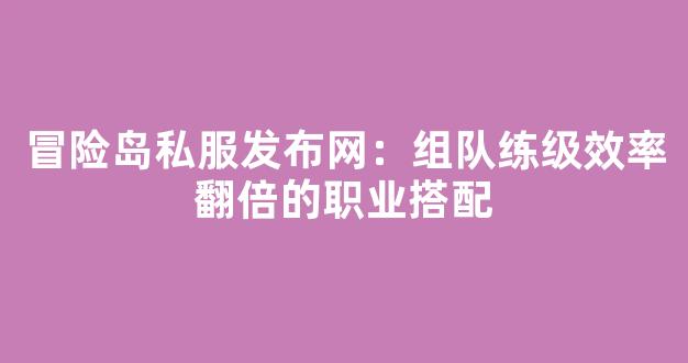冒险岛私服发布网：组队练级效率翻倍的职业搭配