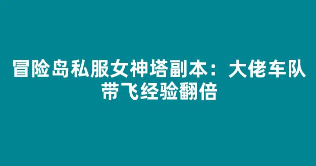 冒险岛私服女神塔副本：大佬车队带飞经验翻倍