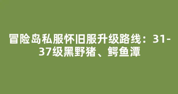 冒险岛私服怀旧服升级路线：31-37级黑野猪、鳄鱼潭-第1张图片-冒险岛私服发布网
