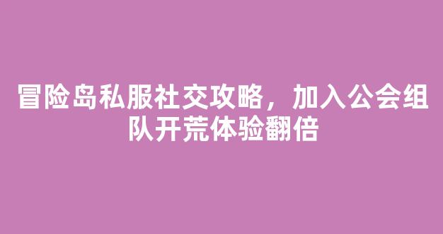 冒险岛私服社交攻略，加入公会组队开荒体验翻倍
