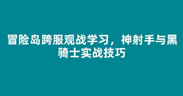 冒险岛跨服观战学习，神射手与黑骑士实战技巧