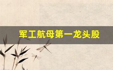 军工航母第一龙头股(跟航母有关的军工上市公司)_https://www.shshucaipeisong.com_上交所_第1张