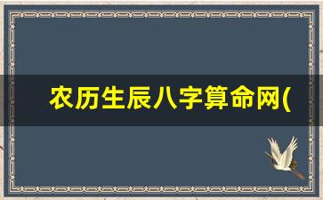 农历生辰八字算命网(农历生辰八字查询系统)