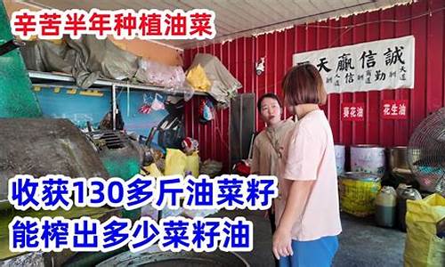 农村菜籽油多少钱一斤2020年_农村130斤菜籽油价格