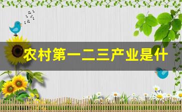 农村第一二三产业是什么(农村第一二三产业是什么意思)_https://www.fzdzcxj.com_创业板_第1张