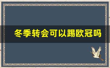 冬季转会期-冬季转会可以踢欧冠吗