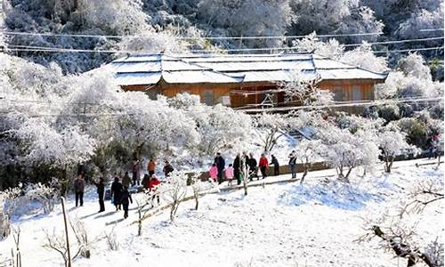 冬季重庆旅游攻略,冬季重庆旅游最佳路线