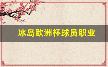 冰岛欧洲杯球员职业生涯-冰岛欧洲杯球员职