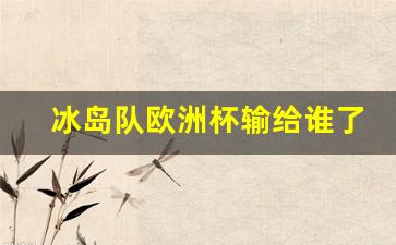 冰岛队欧洲杯输给谁了-冰岛队无缘欧洲杯