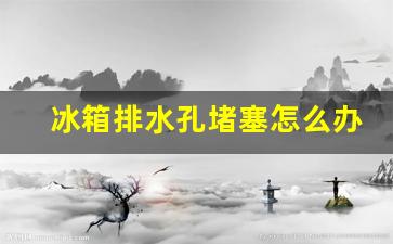 冰箱漏水孔堵塞怎么疏通-冰箱排水孔堵塞怎么办