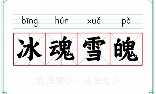 冰魂素魄的成语解释及意思-冰魂雪魄打一动物生肖