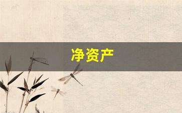 净资产(净资产收益率)_https://www.qldgs.com_国际期货_第1张