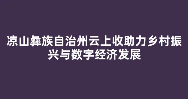 凉山彝族自治州云上收助力乡村振兴与数字经济发展