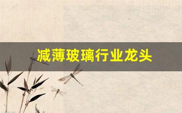 减薄玻璃行业龙头(玻璃行业龙头概念股票)_https://www.eamstsz.com_科创板_第1张